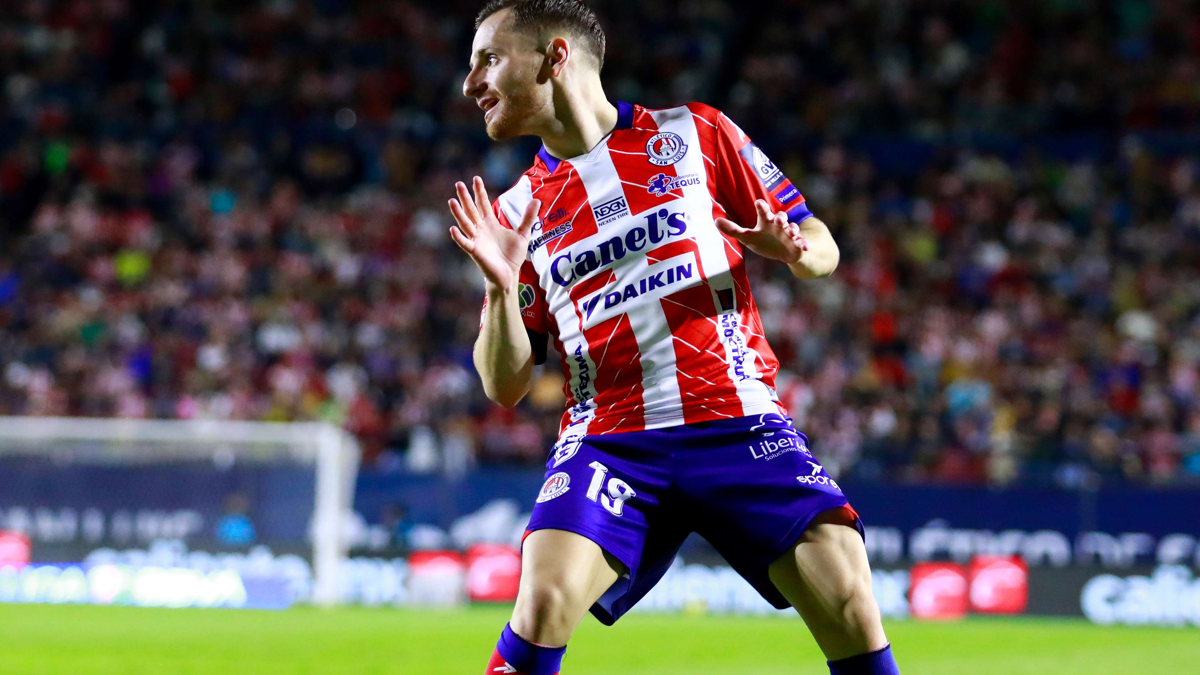 合适的替代 合适的替代