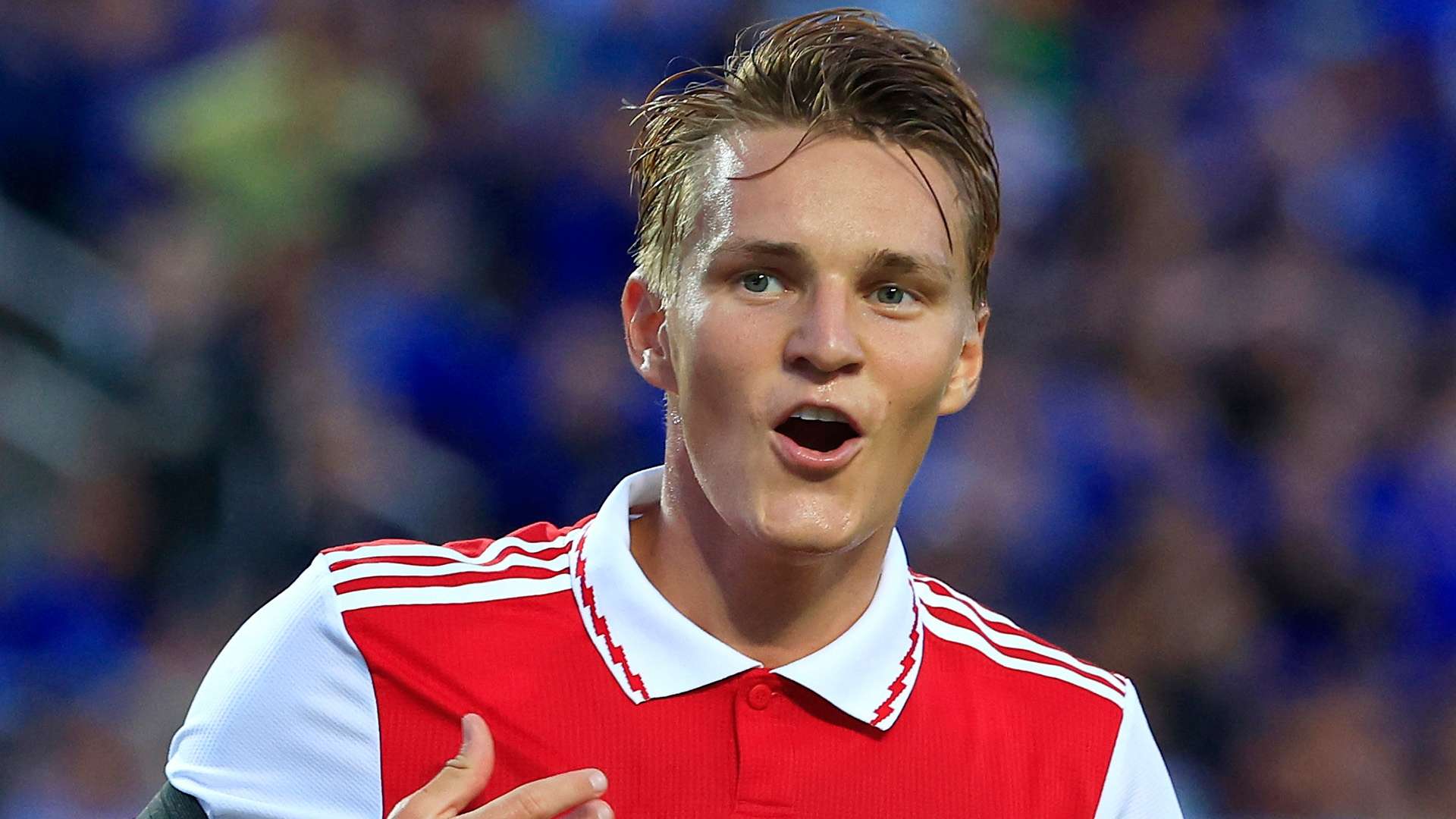 赛逐日进步 赛逐日进步